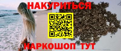 гашик Краснознаменск
