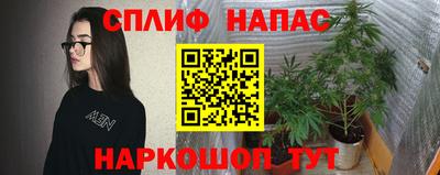 гашик Краснознаменск