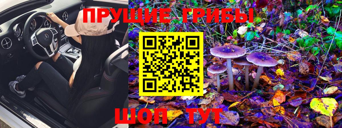 Псилоцибиновые грибы GOLDEN TEACHER Черногорск