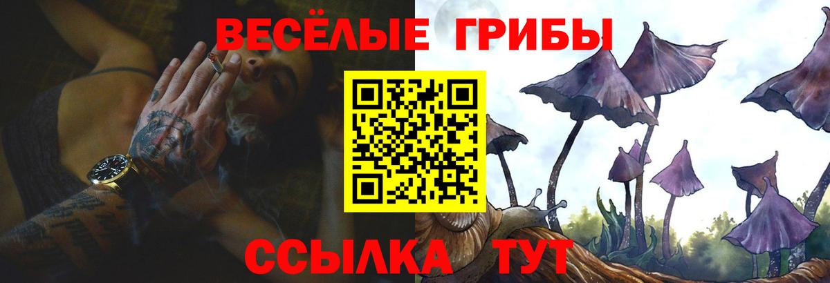 Черногорск  Галлюциногенные грибы Cubensis  Вход с VPN 